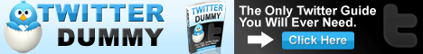 Get the Twitter Dummy Guide