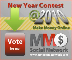 MMO Social Network contest 2010
