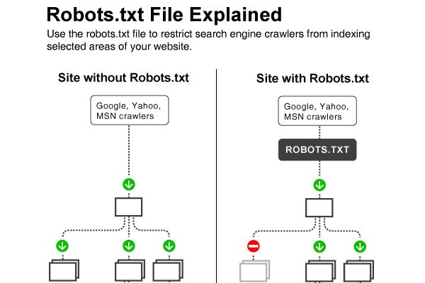 robots.txt file explained