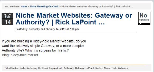  Niche Market Websites: Gateway or Authority?