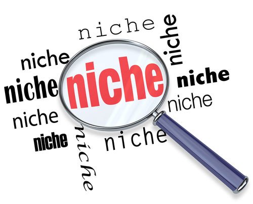 blogging niche