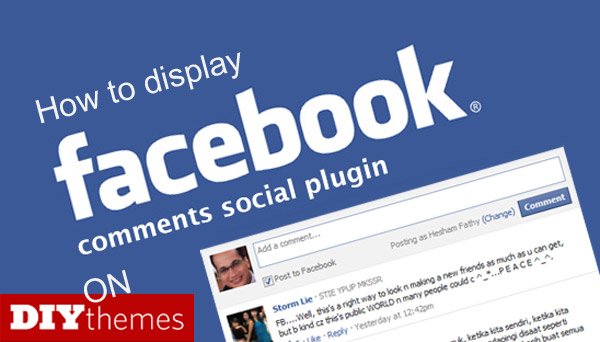 Display Facebook comments on Thesis Theme