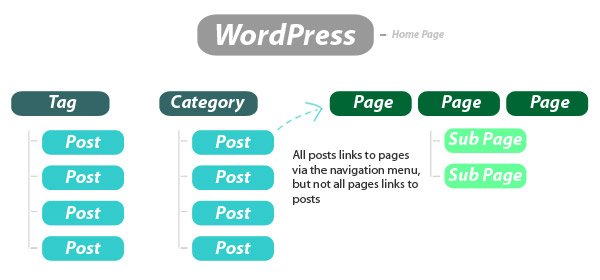 wordpress pages vs posts