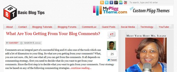 BasicBlogTips.com