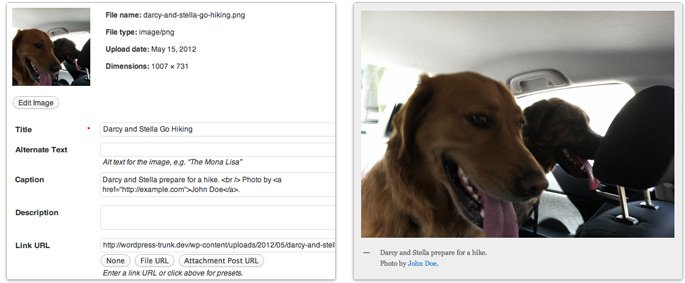 wordpress image caption