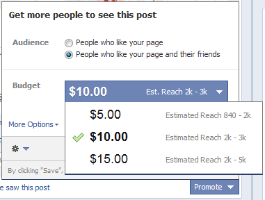 facebook promoted posts budget options