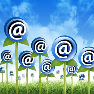 Lessons For Bloggers
