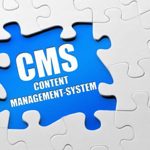 Promising Content Management Systems