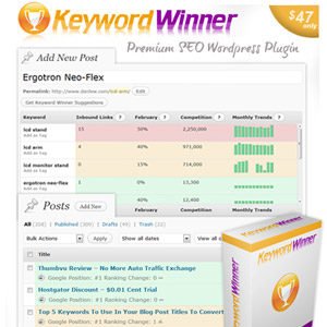 Keyword Winner 3.0