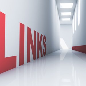 Link Building Networks