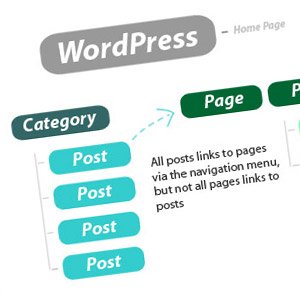 Posts vs Pages