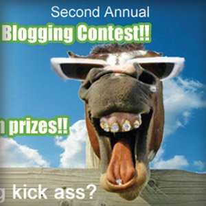 SEO Blogging Contest