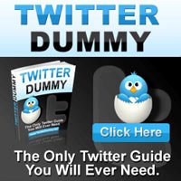 Twitter Dummy Guide
