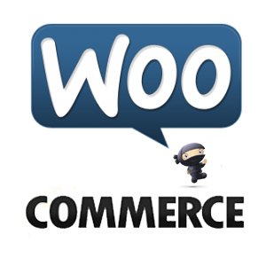 WooCommerce Plugin